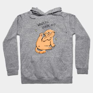 The Badmood Cat - Whatchu lookin’ at? Hoodie